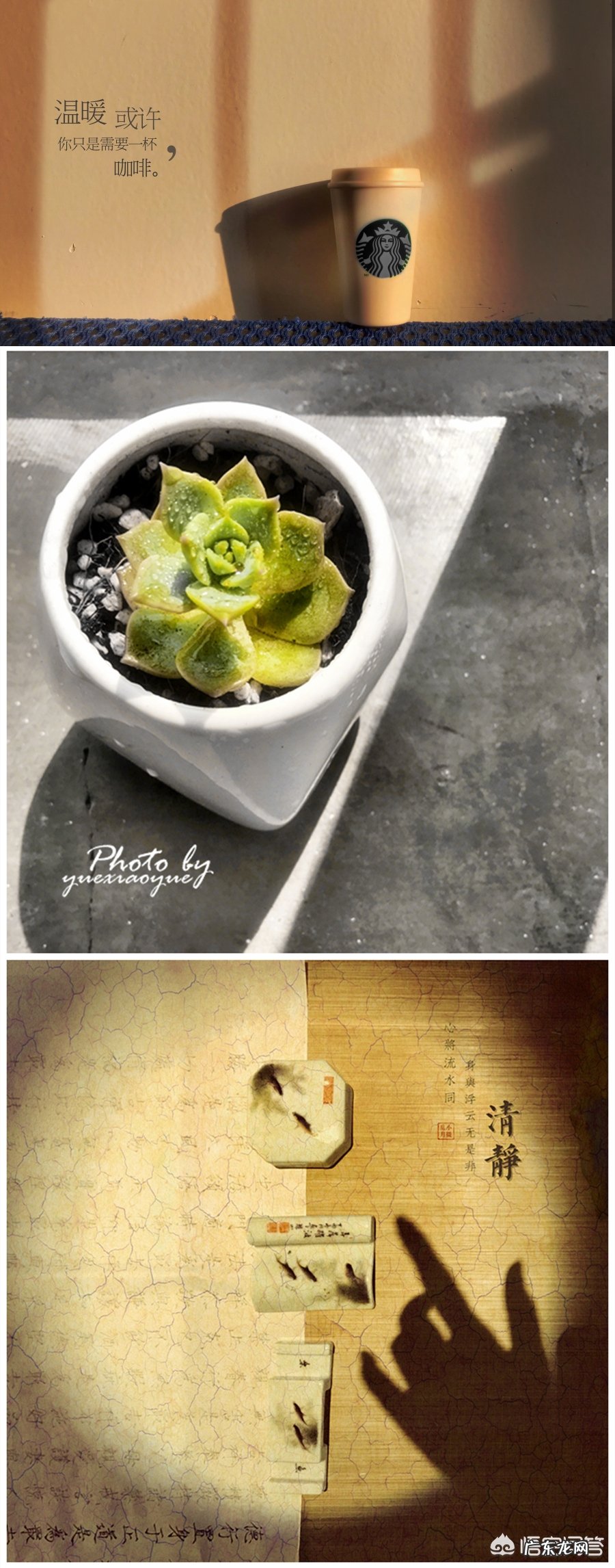 如何用摄影作品表现“一抹阳光”?