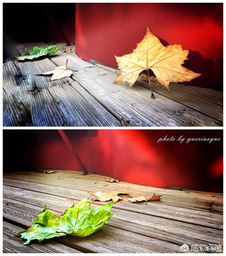 如何用摄影作品表现“一抹阳光”?