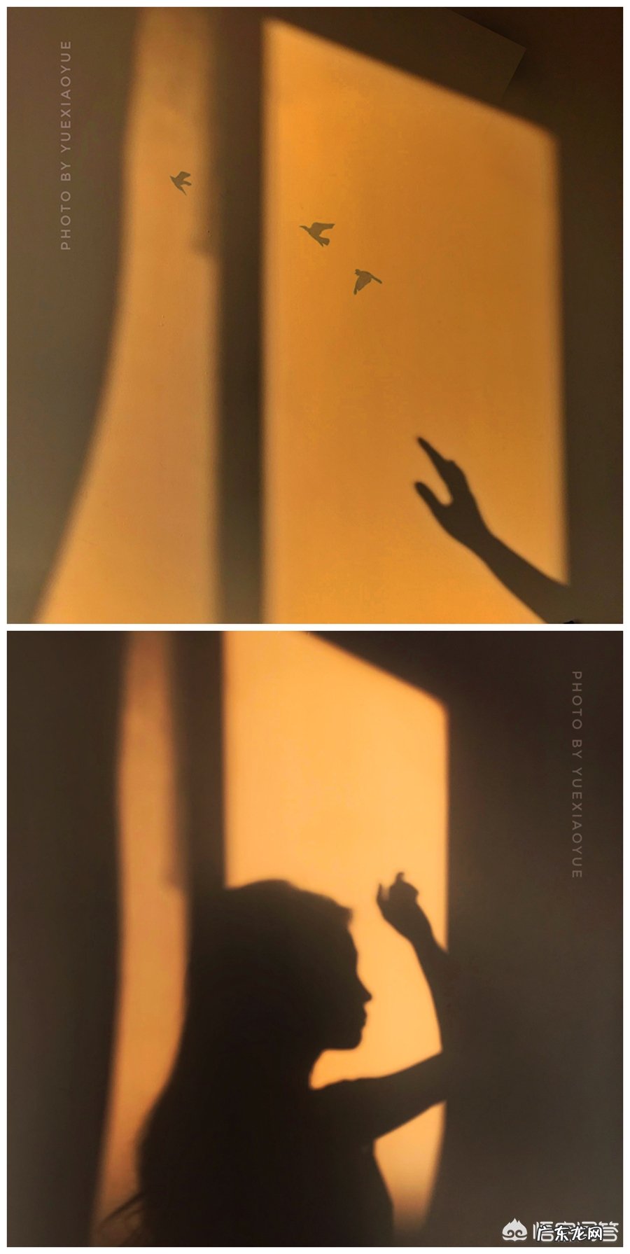 如何用摄影作品表现“一抹阳光”?