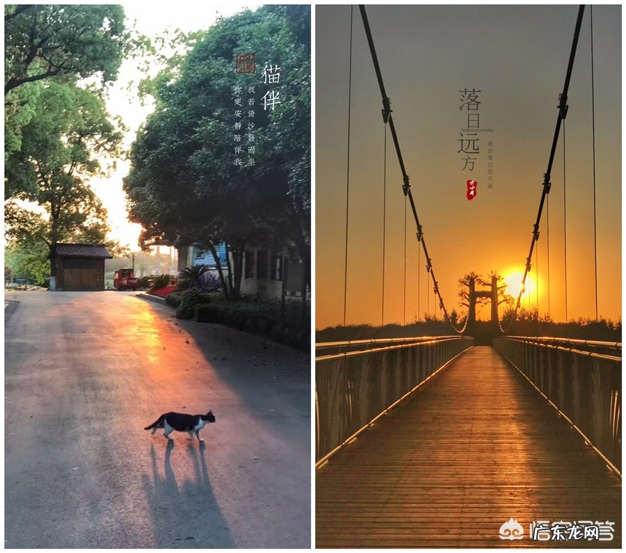 如何用摄影作品表现“一抹阳光”?