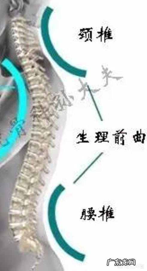 什么样的枕头对颈椎好?