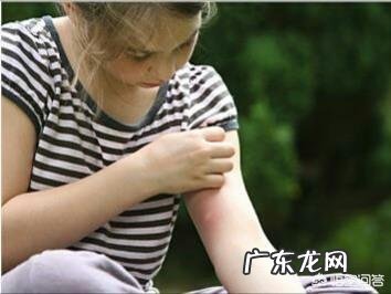 有人说爱吃甜食的人招蚊子,这种说法科学吗?为什么?