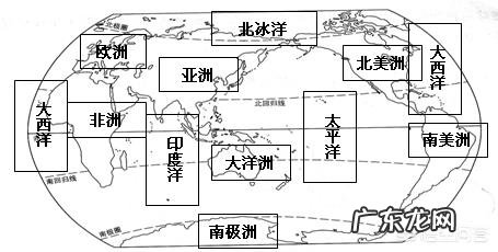 地球之南有哪些神奇动物?