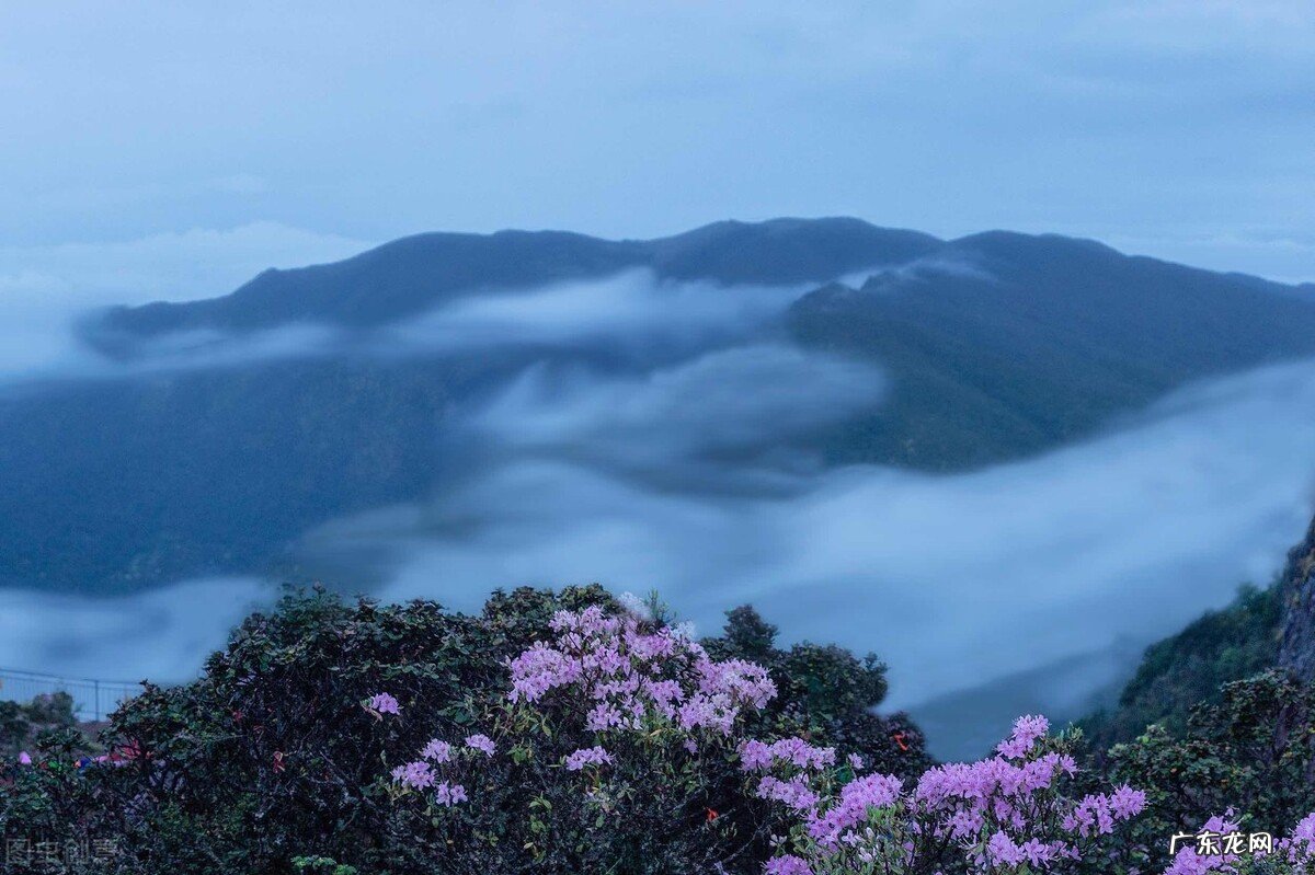 立根原在破岩中的上一句 五千仞岳上摩天是什么意思