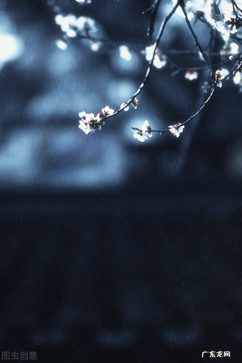 立根原在破岩中的上一句 五千仞岳上摩天是什么意思