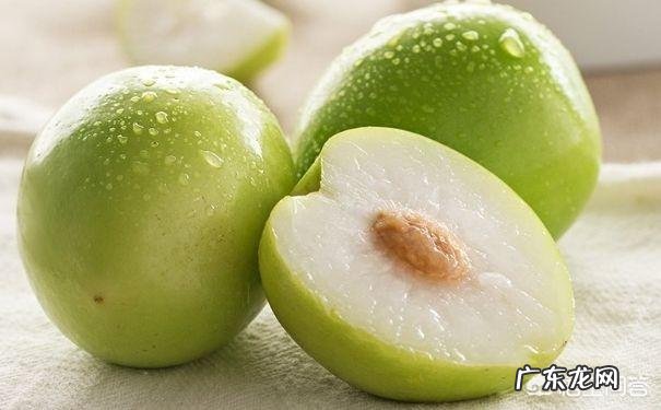 青枣是不是北方的大枣它怎样种植呢?