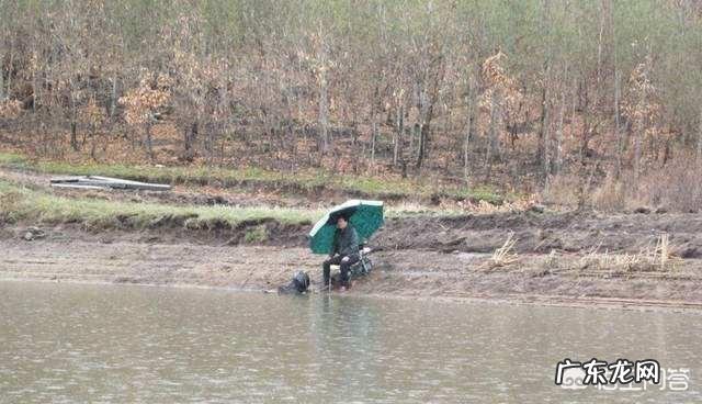 野外钓鱼下雨天更好钓吗?