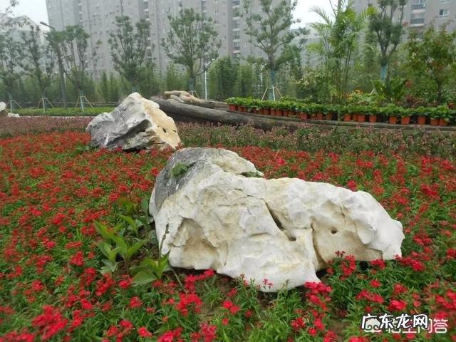 大家觉得去横店当群演,体验体验生活,好不好?