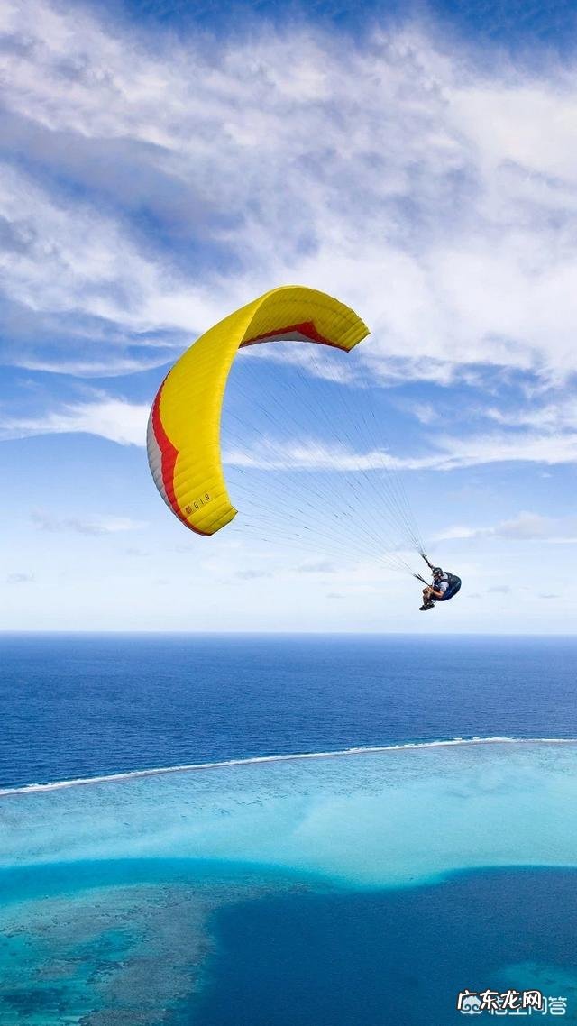 如何用几个词来形容下以下几位女明星,杨紫、章泽天、章子怡?