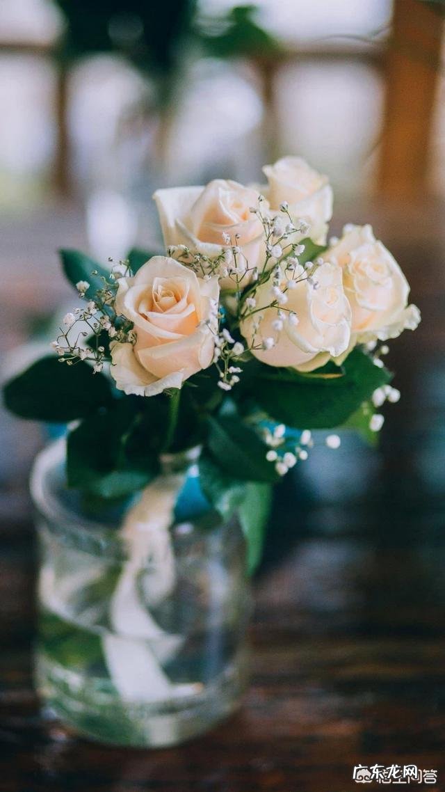 如何用几个词来形容下以下几位女明星,杨紫、章泽天、章子怡?