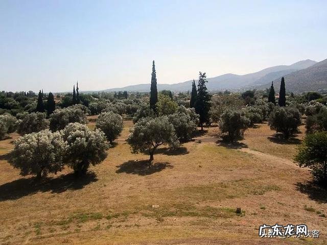 马拉松典故的原型,为什么不骑马而要跑步呢?