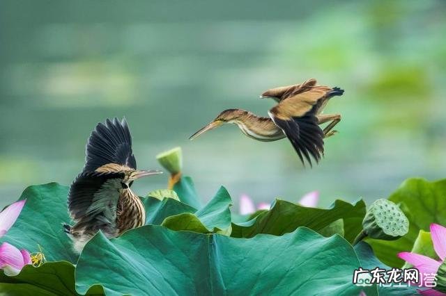 怎么拍才能让照片显得更干净?