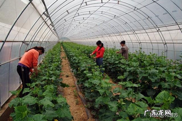 怎么拍才能让照片显得更干净？