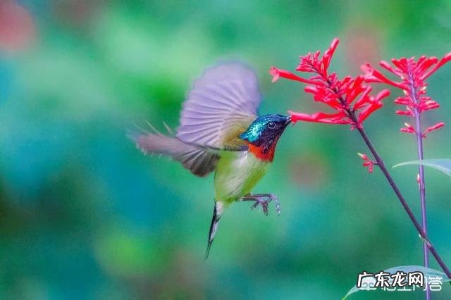 怎么拍才能让照片显得更干净?