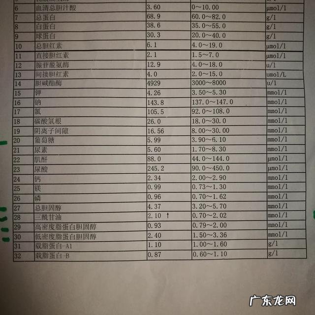 能不能论述一下自己是如何参加体育锻炼的？