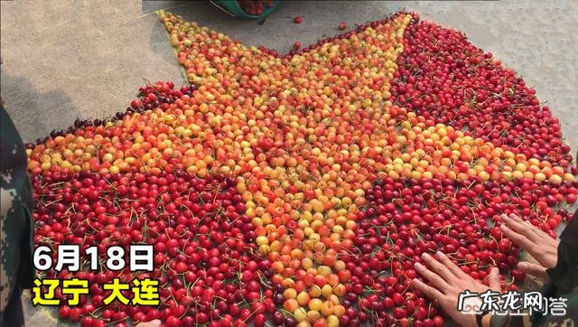 为什么要帮助别人?