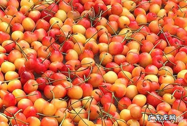 为什么要帮助别人?