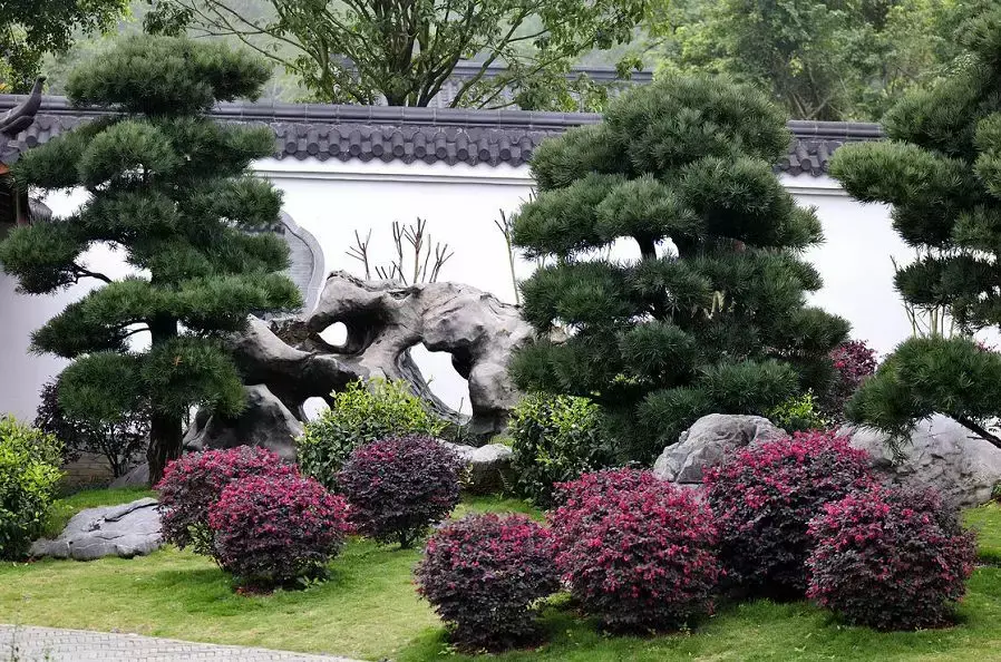 玄关银杏叶装饰风水 银杏叶摆件风水寓意