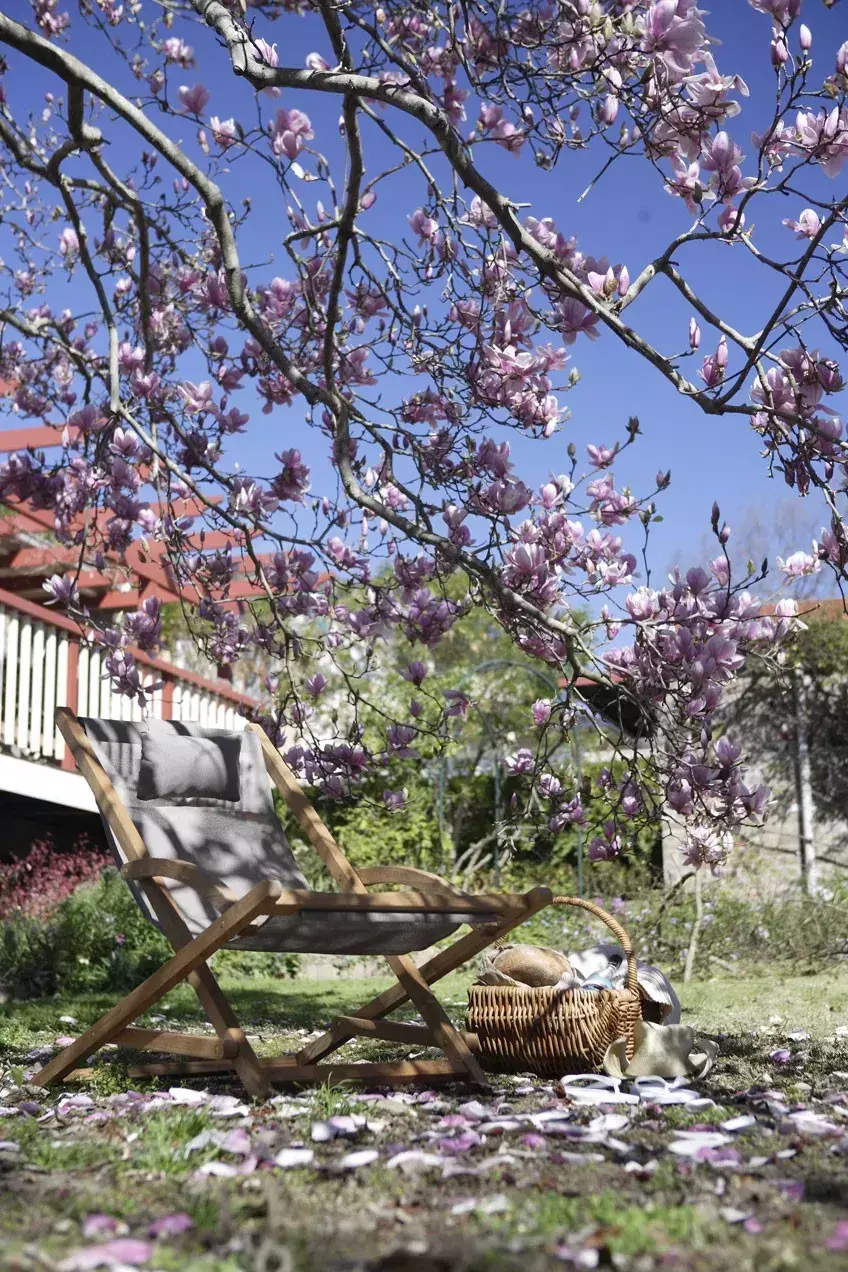 玄关银杏叶装饰风水 银杏叶摆件风水寓意