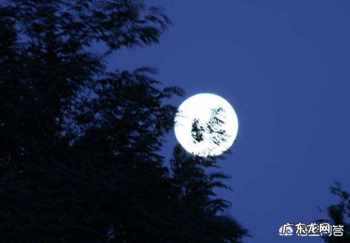 咏月诗词,您最推崇哪一句?