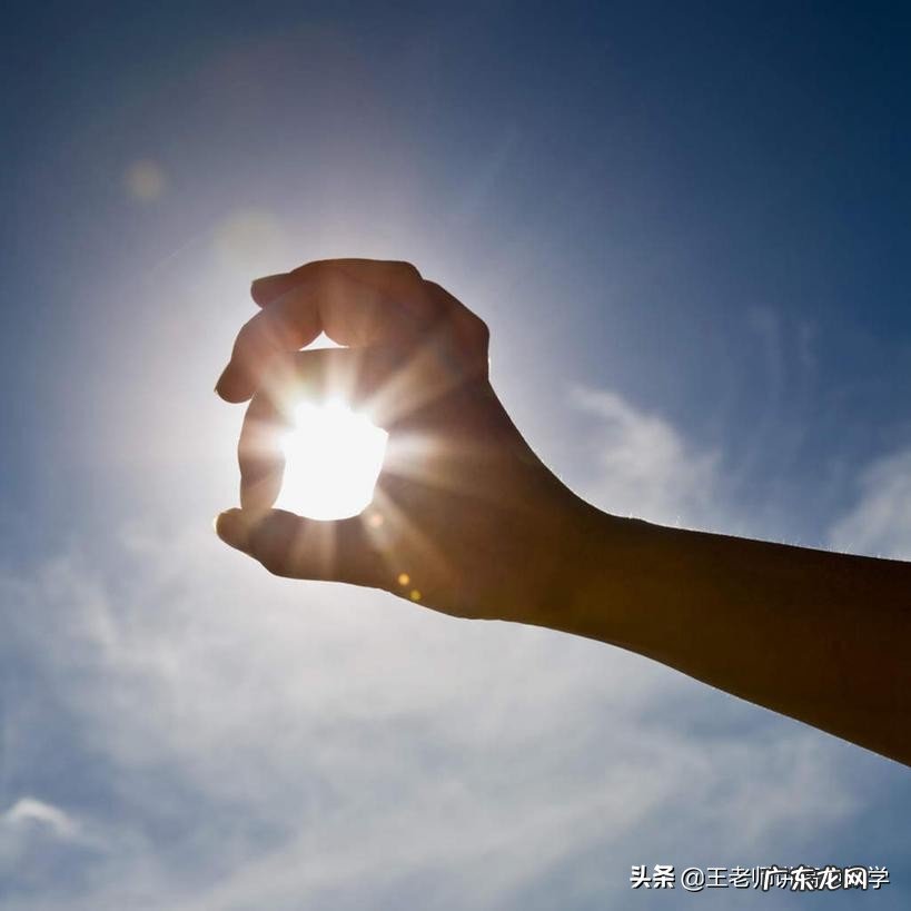 学会生存的本领有哪些?