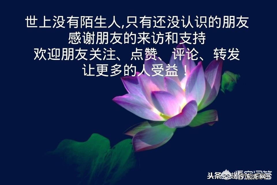 作为一名教师怎样提高自己的业务能力?
