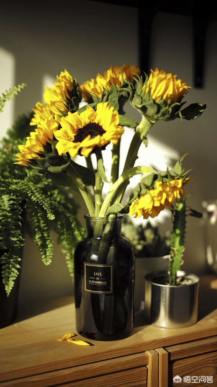 高中三年可以用几个字总结?