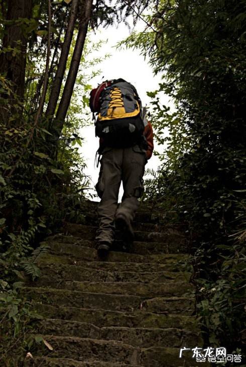 高中三年可以用几个字总结?