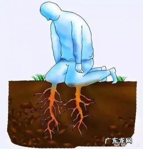 有些人假装自己很努力,这是什么心理?