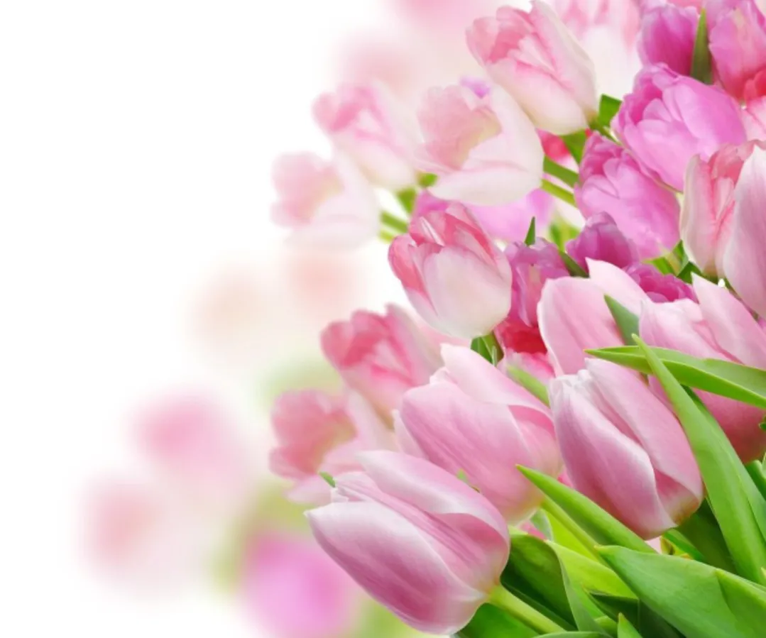 能否分享一些读后让你展颜一笑的美好句子?