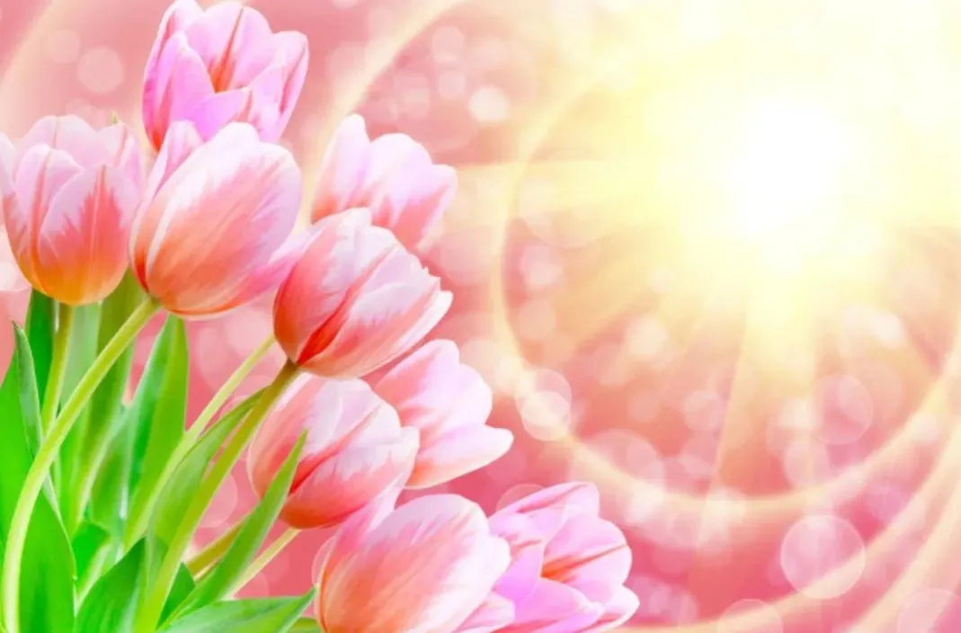 能否分享一些读后让你展颜一笑的美好句子?