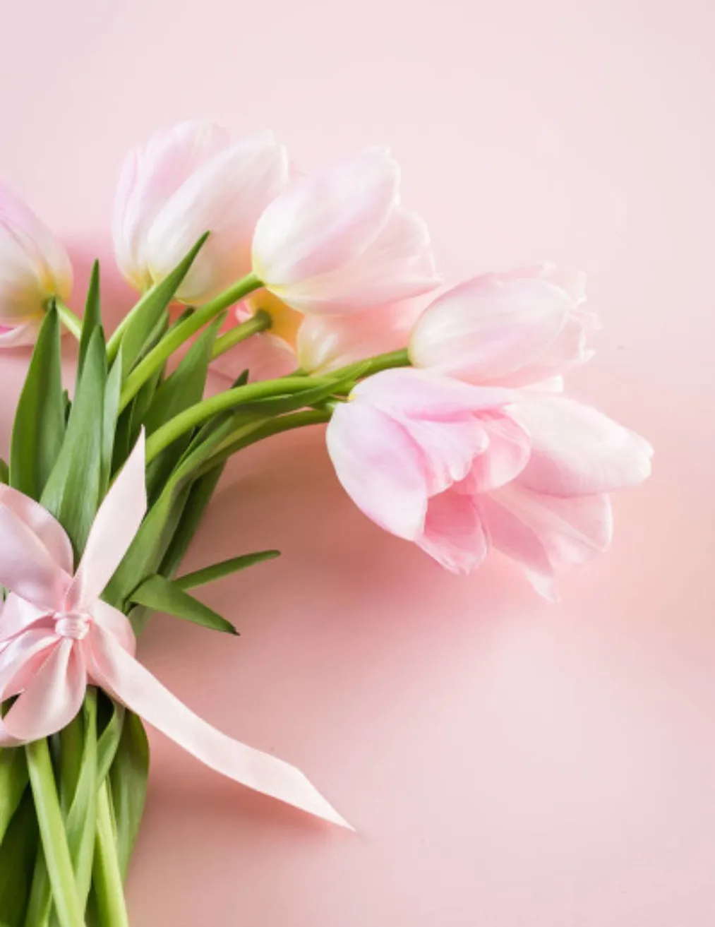 能否分享一些读后让你展颜一笑的美好句子?