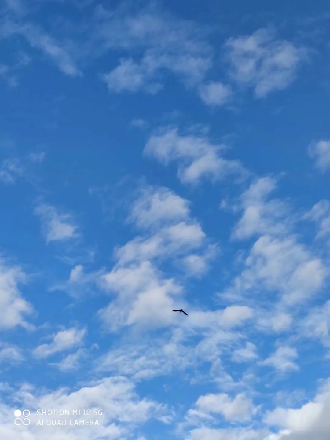 能否分享一些读后让你展颜一笑的美好句子?