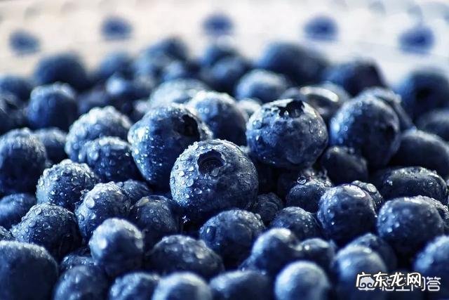 经常看电脑可以吃点什么来保护眼睛?