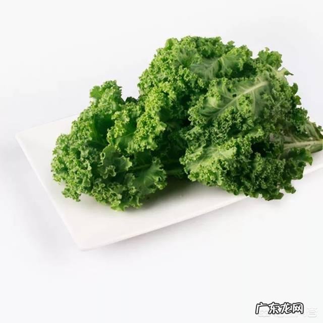 经常看电脑可以吃点什么来保护眼睛?