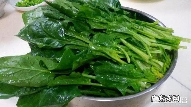 经常看电脑可以吃点什么来保护眼睛?