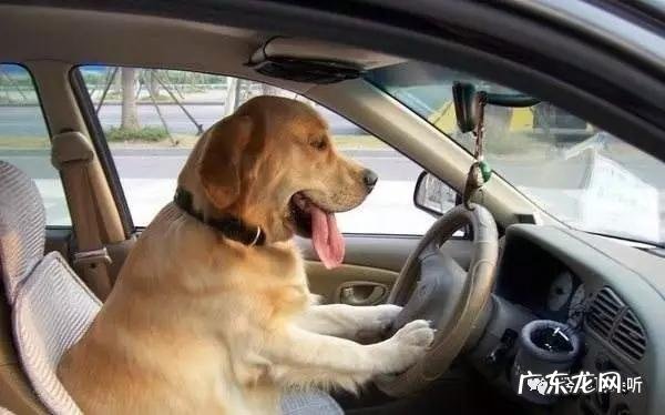 毕业时的歌曲 毕业歌曲那些年