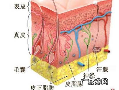 去角质和清洁面膜有什么区别?两种可以同时使用么?