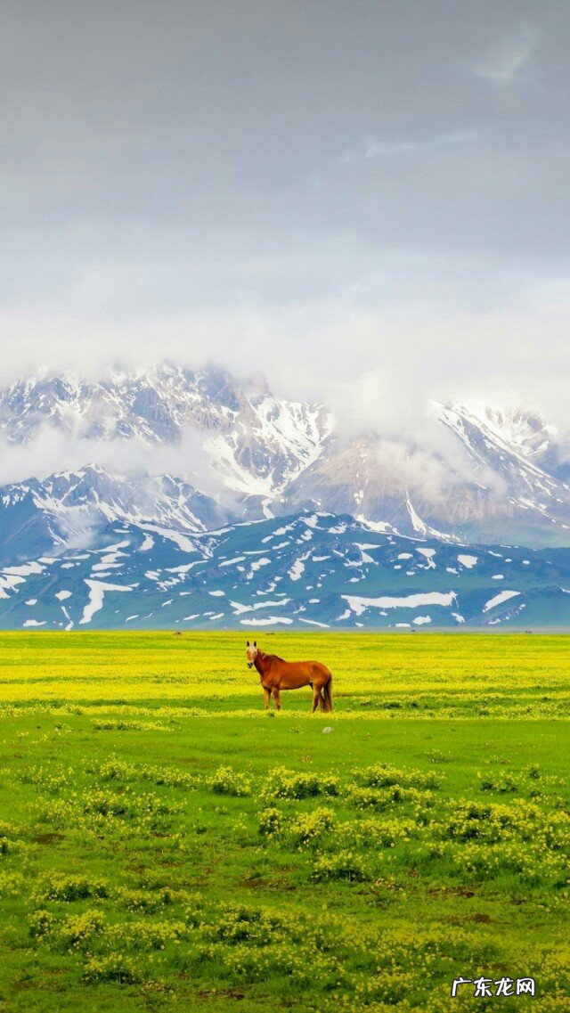你认为人和动物是怎样的关系,这个地球才能更和谐?
