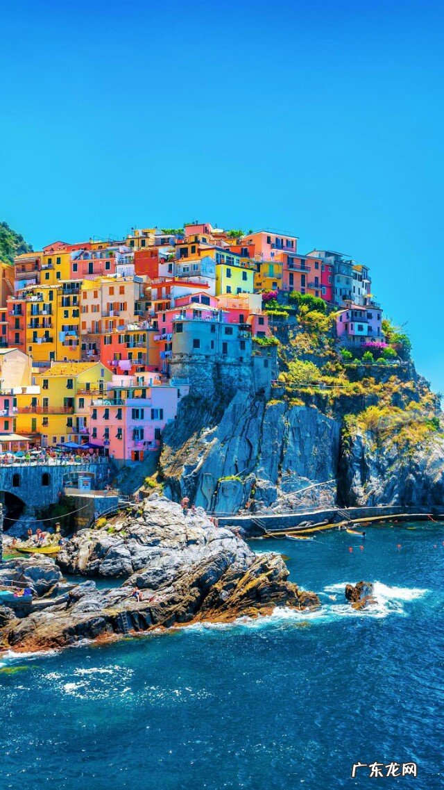 你认为人和动物是怎样的关系,这个地球才能更和谐?