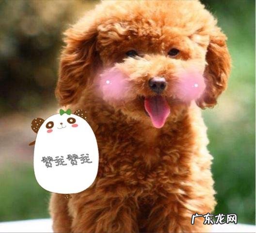 游泳最大的好处是什么？真的能减肥吗？