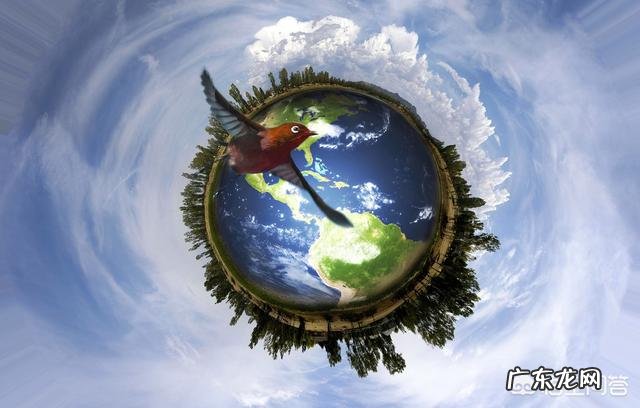 除了人类,地球上还有哪种生物意识到地球是一个球体?