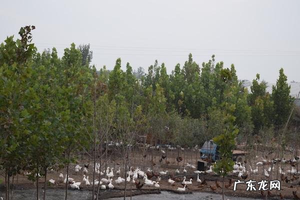 河边房子的风水图解 在河边是不是风水都很好呢
