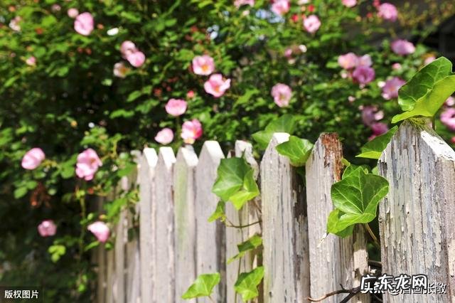 日长篱落无人过,惟有蜻蜓蛱蝶飞。到底是农忙还是农闲呢?