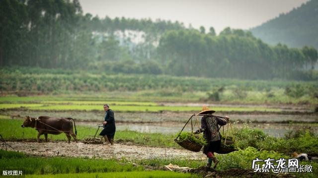 日长篱落无人过,惟有蜻蜓蛱蝶飞。到底是农忙还是农闲呢?
