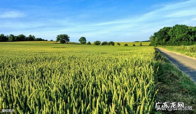日长篱落无人过,惟有蜻蜓蛱蝶飞。到底是农忙还是农闲呢?