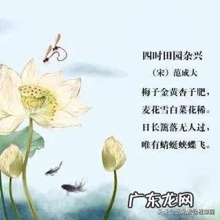 日长篱落无人过,惟有蜻蜓蛱蝶飞。到底是农忙还是农闲呢?