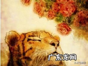 你最喜欢的关于雪的诗句是哪一句?