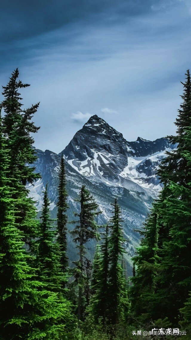 你最喜欢的关于雪的诗句是哪一句?