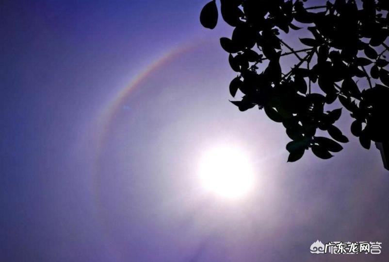 “月晕而风,础润而雨”你能谈谈这句话的含义吗?